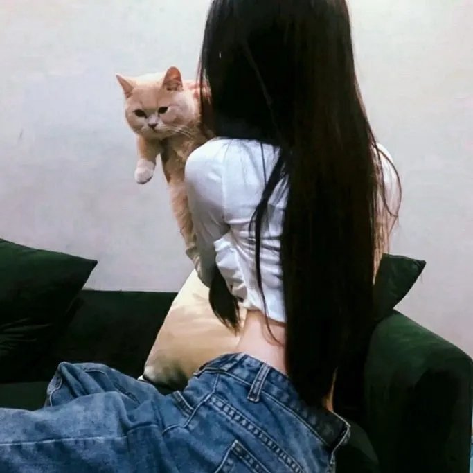 李米的猜想